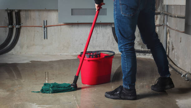 Reliable La Crescenta Montrose, CA Water damage restoration Solutions