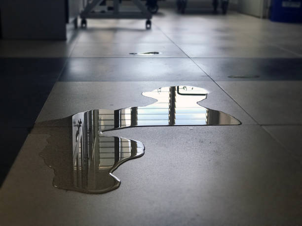 Best Commercial water damage restoration  in La Crescenta Montrose, CA